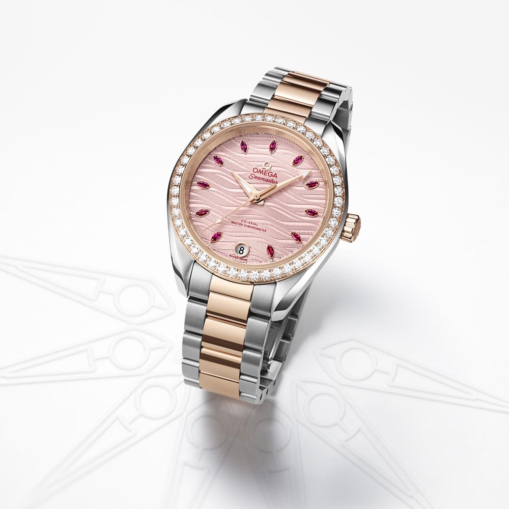 Omega SeamasterTerra Damen 1000x1000 3