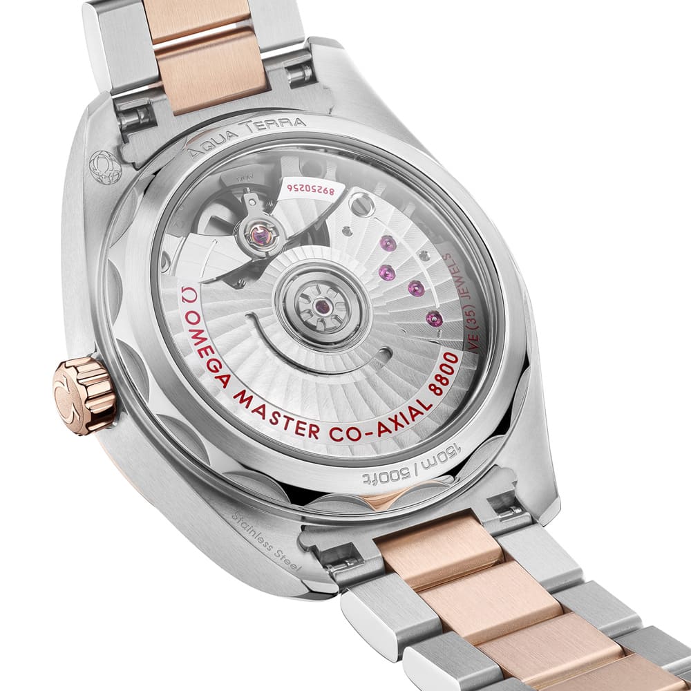 Omega SeamasterTerra Damen 1000x1000 5