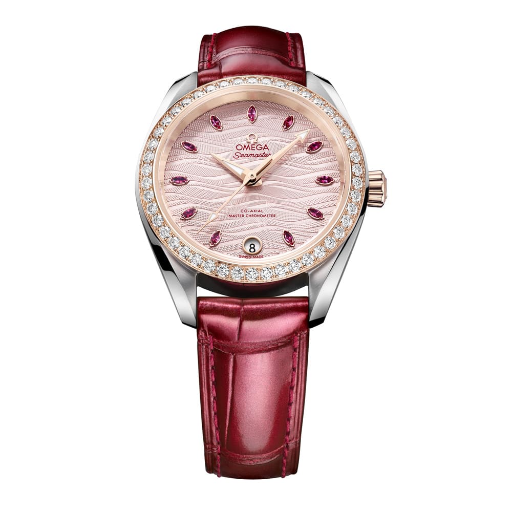 Omega SeamasterTerra Damen 1000x1000 6