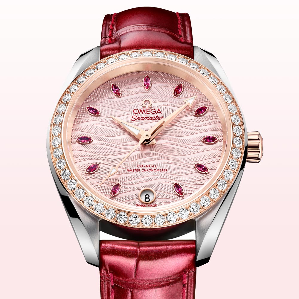 Omega SeamasterTerra 1