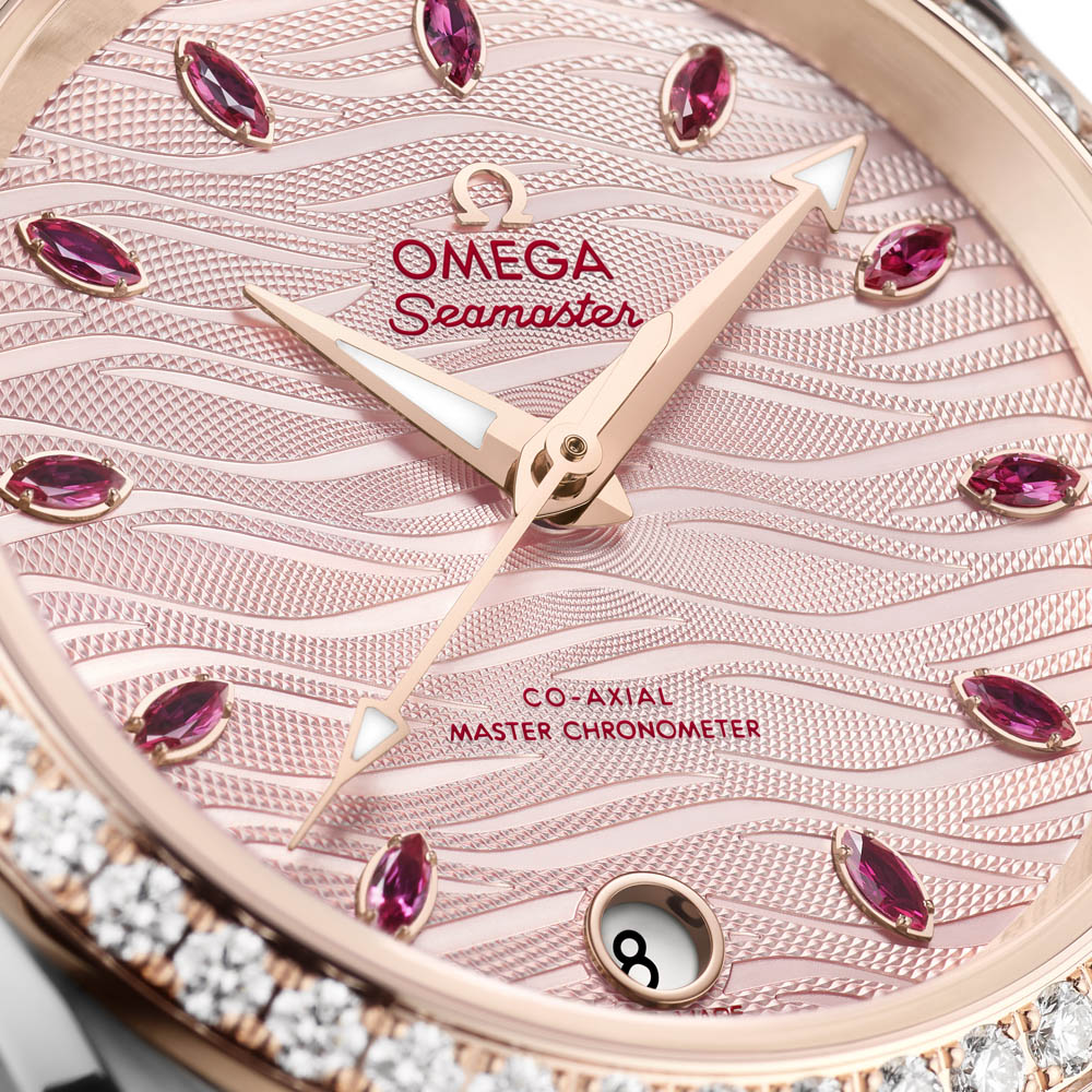 Omega SeamasterTerra 2