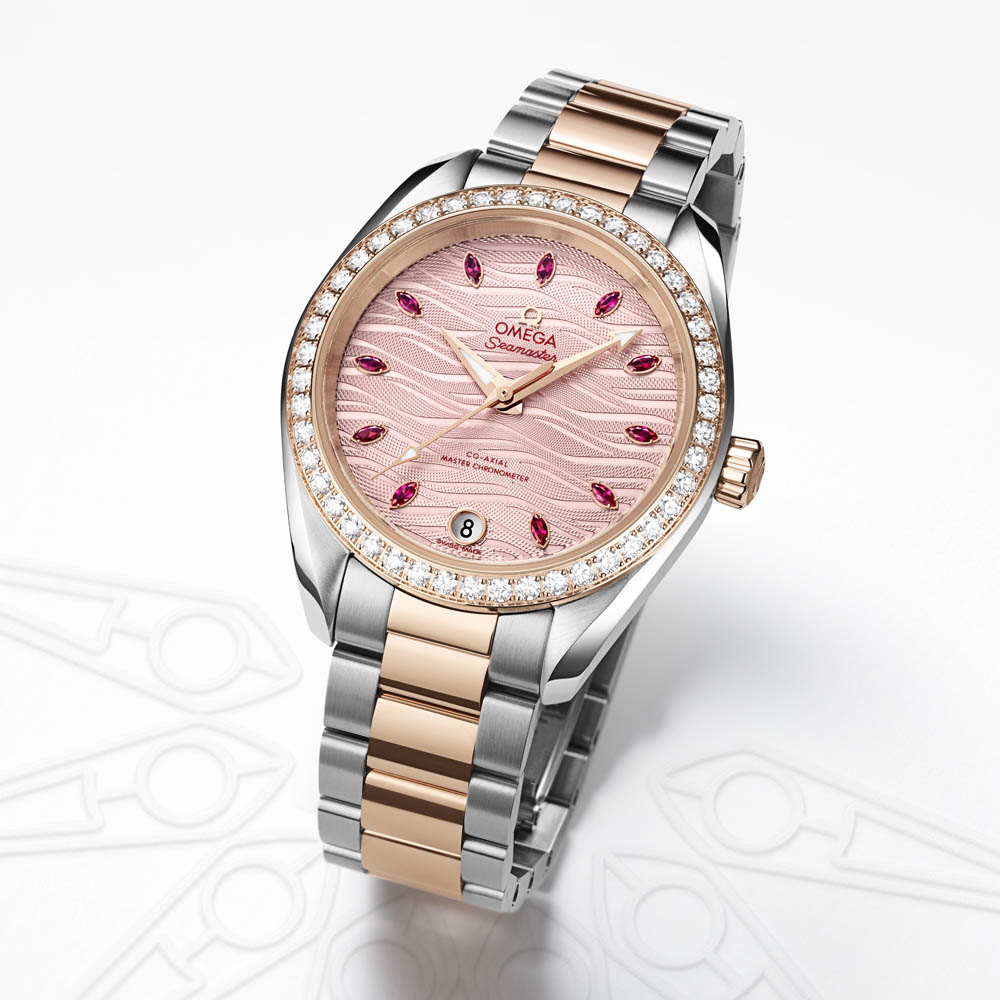 Omega SeamasterTerra 4