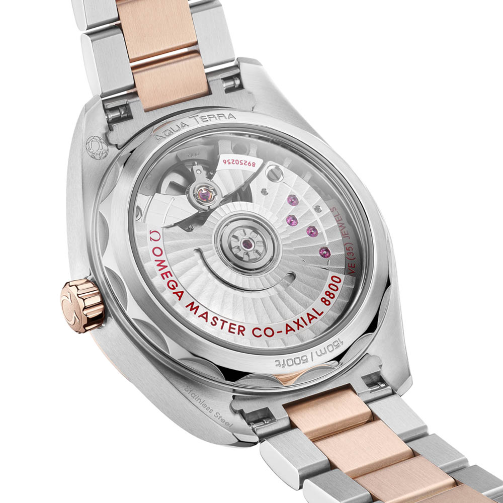 Omega SeamasterTerra 5