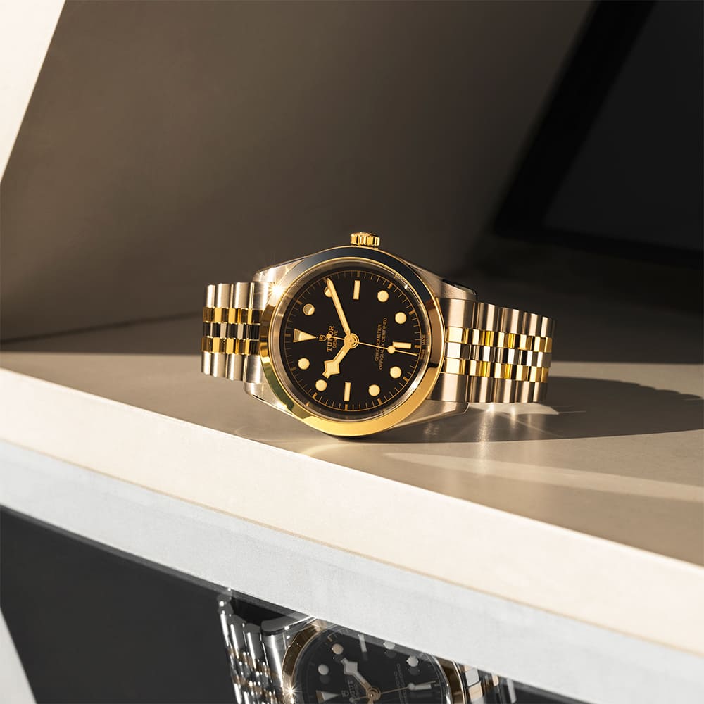 Juwelier Mahlberg Meyer Tudor Neuheiten Black Bay 31 36 39 41 SG  S38 0778