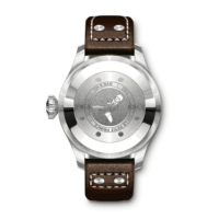 IWC IW501002 2