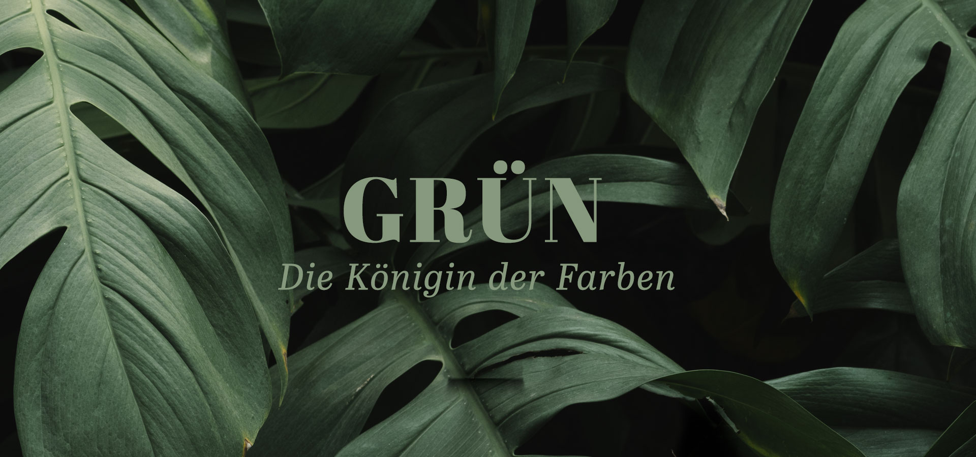 Mahlberg News Header Gruen KoeniginderFarben 1920x900 1
