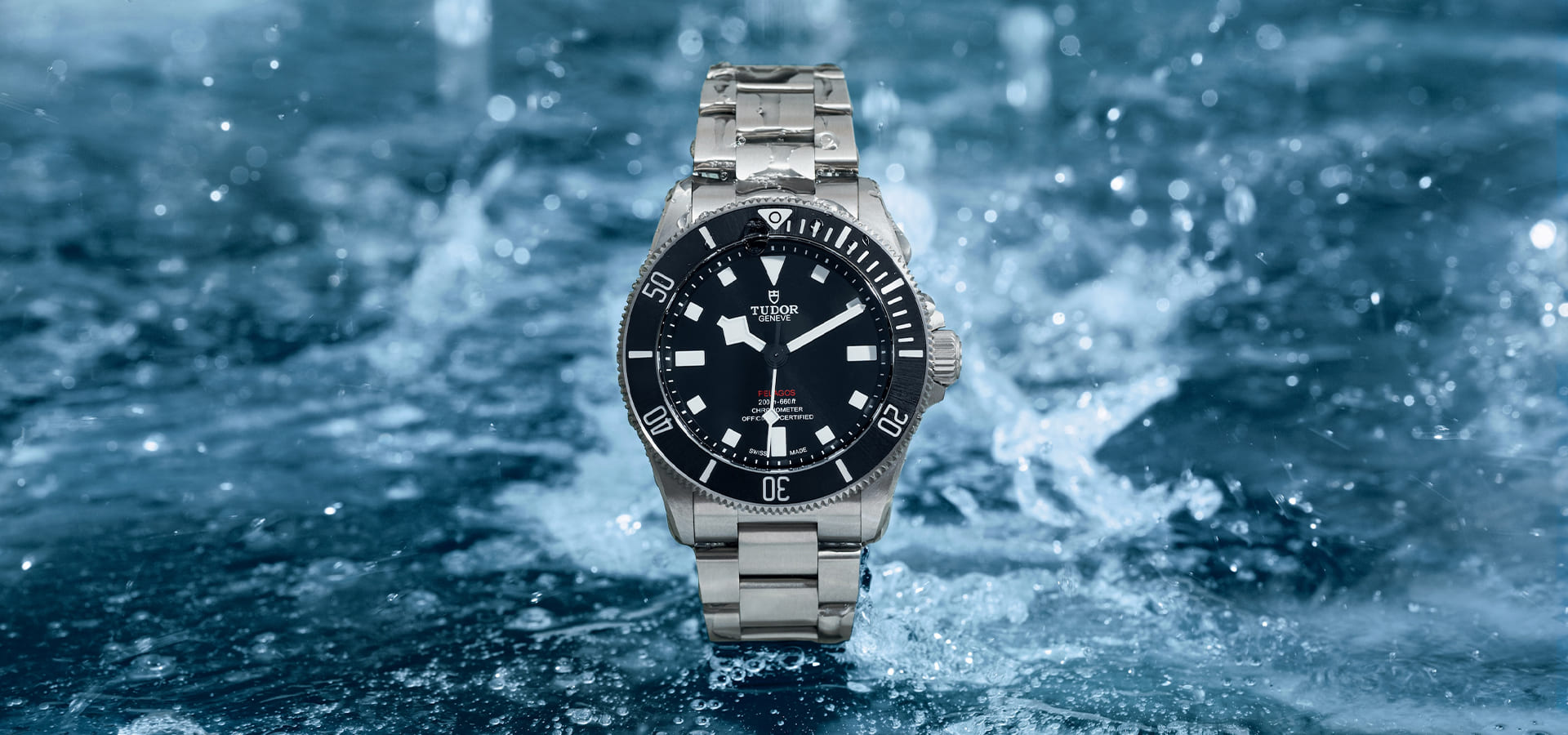Mahlberg News Pelagos Kopie