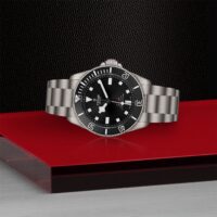 Tudor_M25407N0001_2