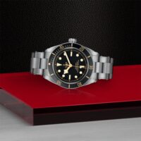Tudor_M79030N0001_2