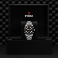 Tudor_M79030N0001_3
