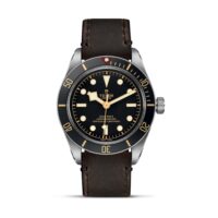 Tudor_M79030N0002_1