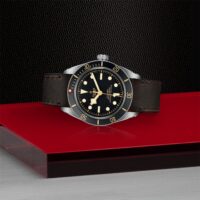 Tudor_M79030N0002_2