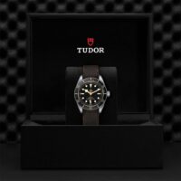 Tudor_M79030N0002_3